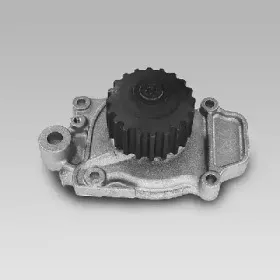 gk-981041