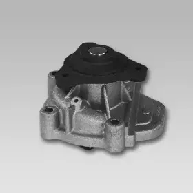 gk-981043