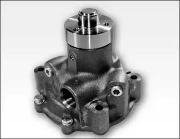gk-981180
