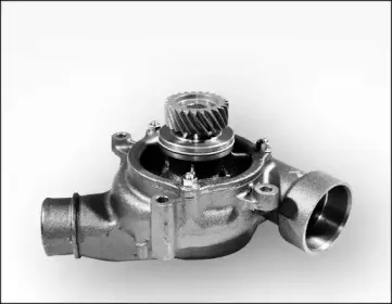 gk-981182