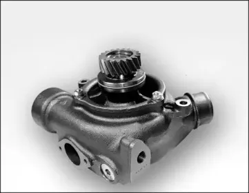 gk-981185