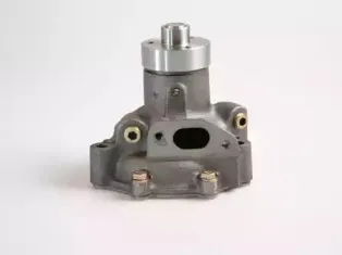 gk-981189