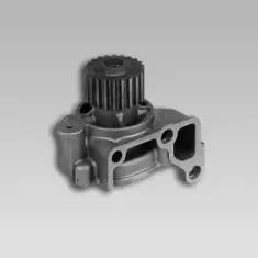 gk-981716