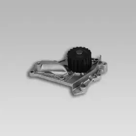 gk-981721