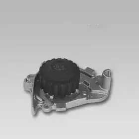gk-981739