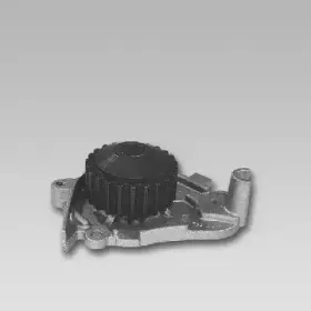 gk-981748