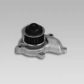gk-981752