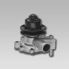 gk-981753