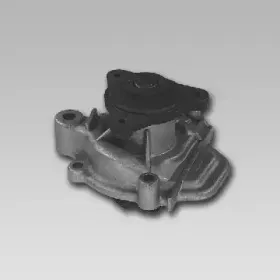 gk-981756