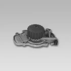 gk-981779