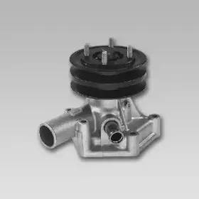 gk-981821
