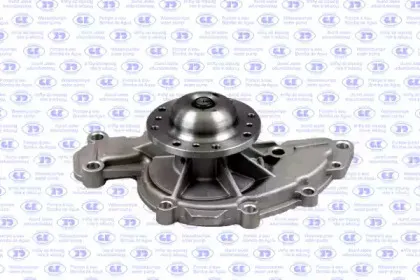 gk-982613