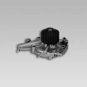 gk-982799