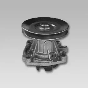 gk-985012