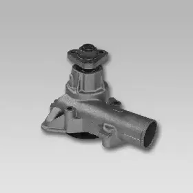 gk-985066