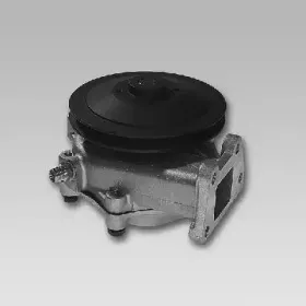 gk-985117