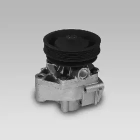 gk-985123