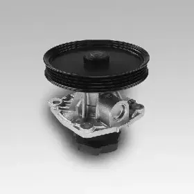 gk-985125