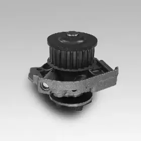 gk-985127