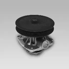 gk-985211