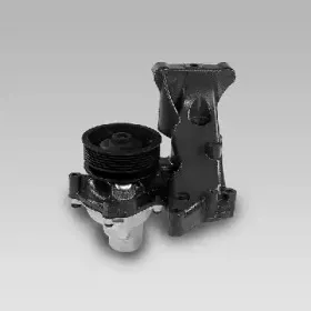 gk-985219