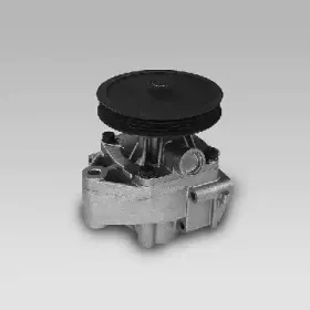 gk-985221