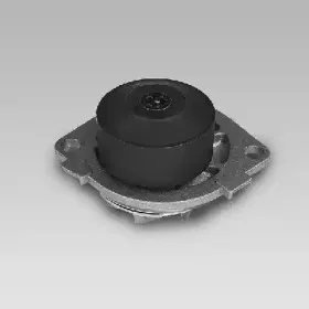 gk-985241