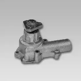 gk-985271