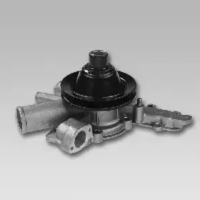 gk-985284