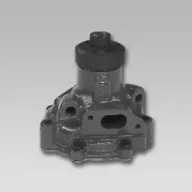 gk-985368