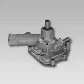 gk-985506