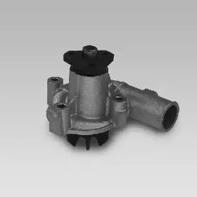 gk-986821