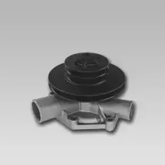gk-986826