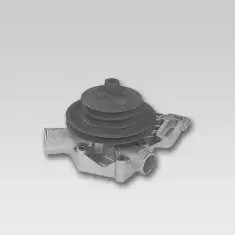 gk-986828
