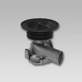 gk-986833