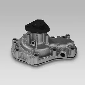 gk-986837
