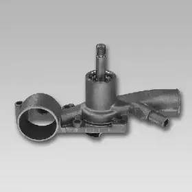gk-986851