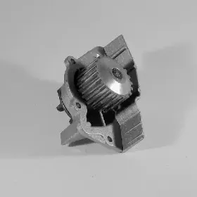 gk-986871