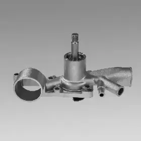 gk-986875