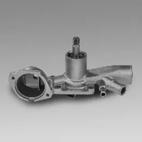 gk-986879