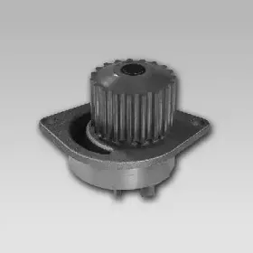 gk-986891