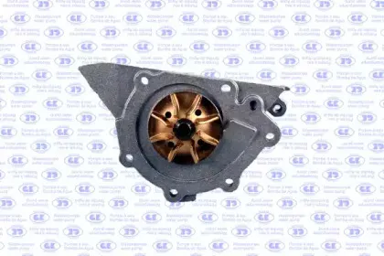 gk-986894