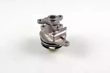 gk-986905