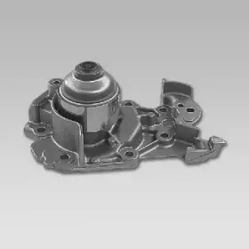 gk-986954