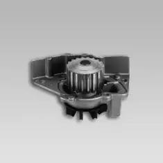 gk-986961