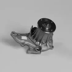gk-987779