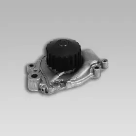 gk-987804