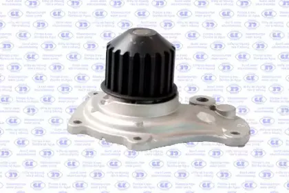 gk-989719