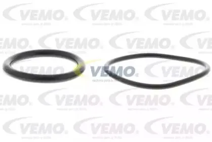 vemo-v10090806
