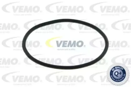 vemo-v10630021